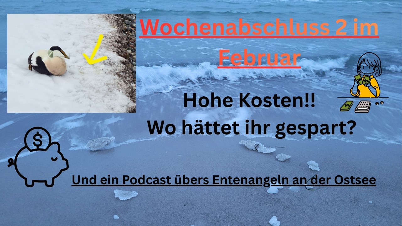 Wochenabschluss 2 im Februar. Hohe Ausgaben! Wo hättet ihr gespart?