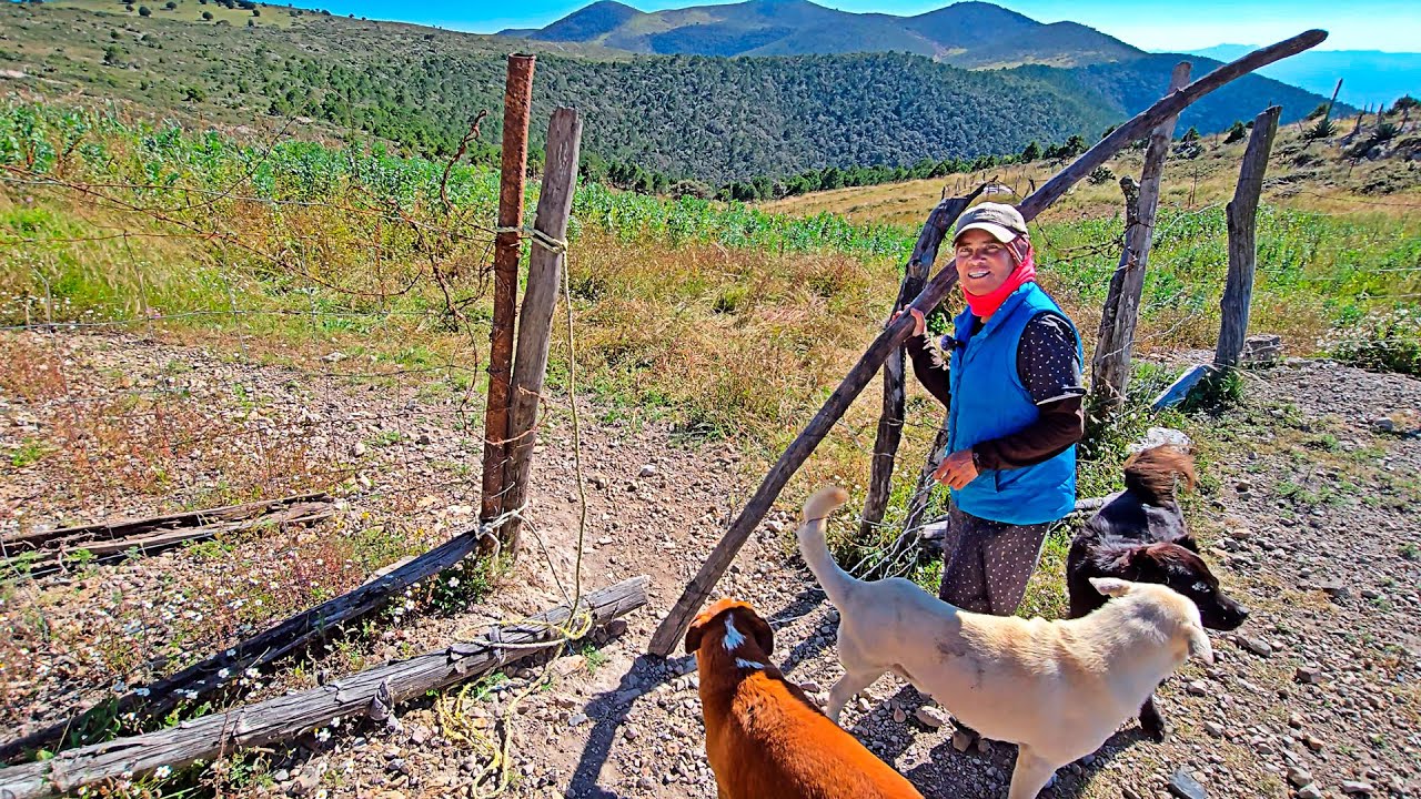La ERMITAÑA QUE RETÓ A LA SOLEDAD | Nació una leyenda en la Sierra | La Madre Nancy