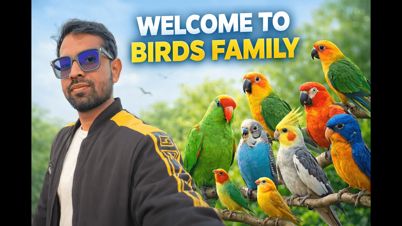 Mere Birds Ka Ghar 🐦 | Inside Bird Cage Tour
