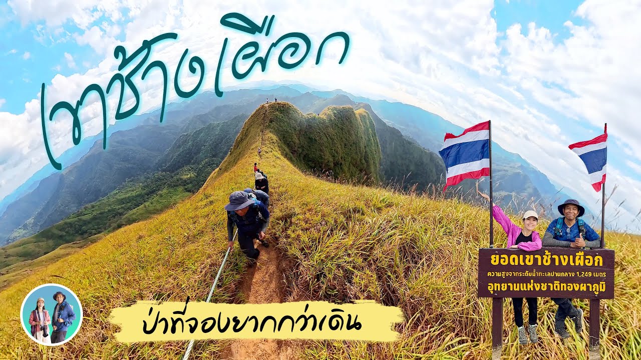 เขาช้างเผือก อุทยานแห่งชาติทองผาภูมิ จ.กาญจนบุรี ป่าที่จองยากกว่าเดิน | ทริปดีหนีลูกเที่ยว