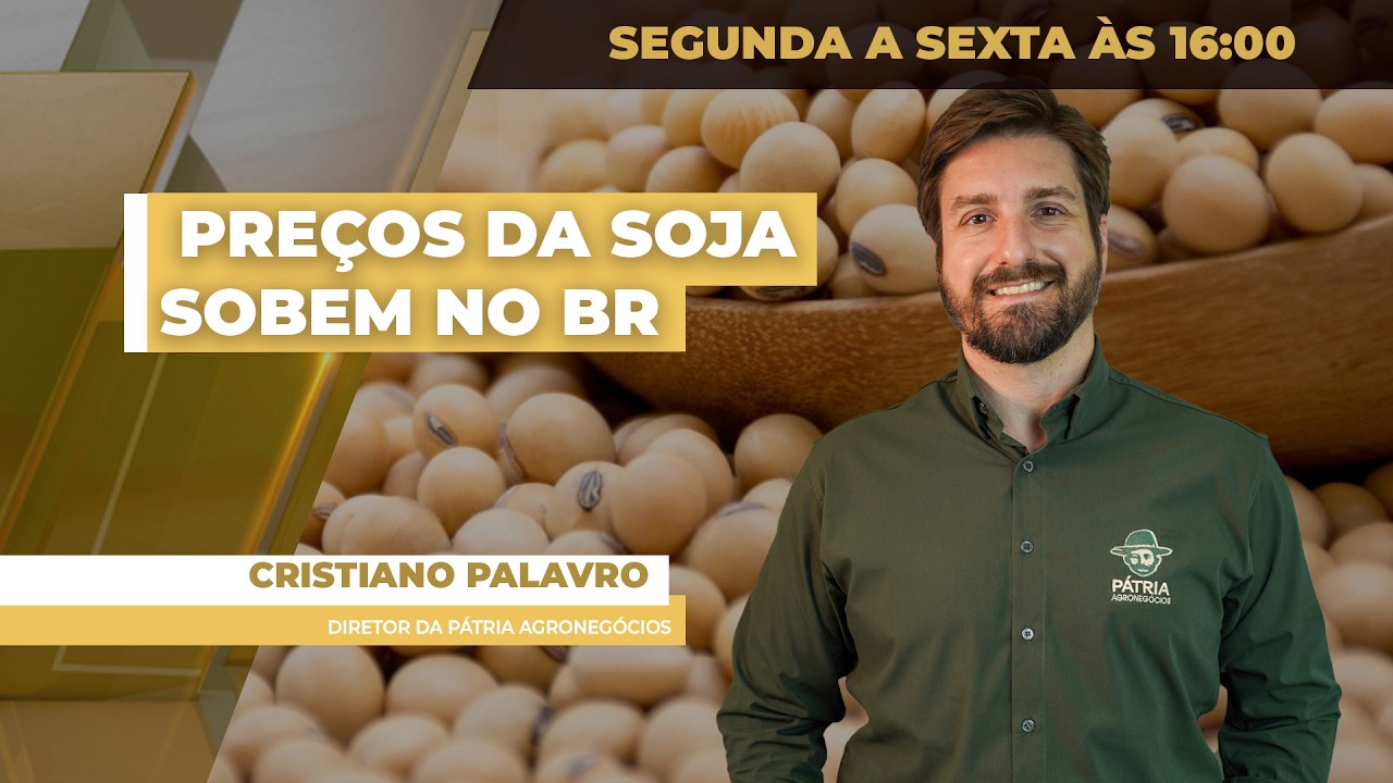 Preços da soja sobem no BR com dólar e Chicago em alta nesta 5ª; altas na semana chegam a R$ 4/sc