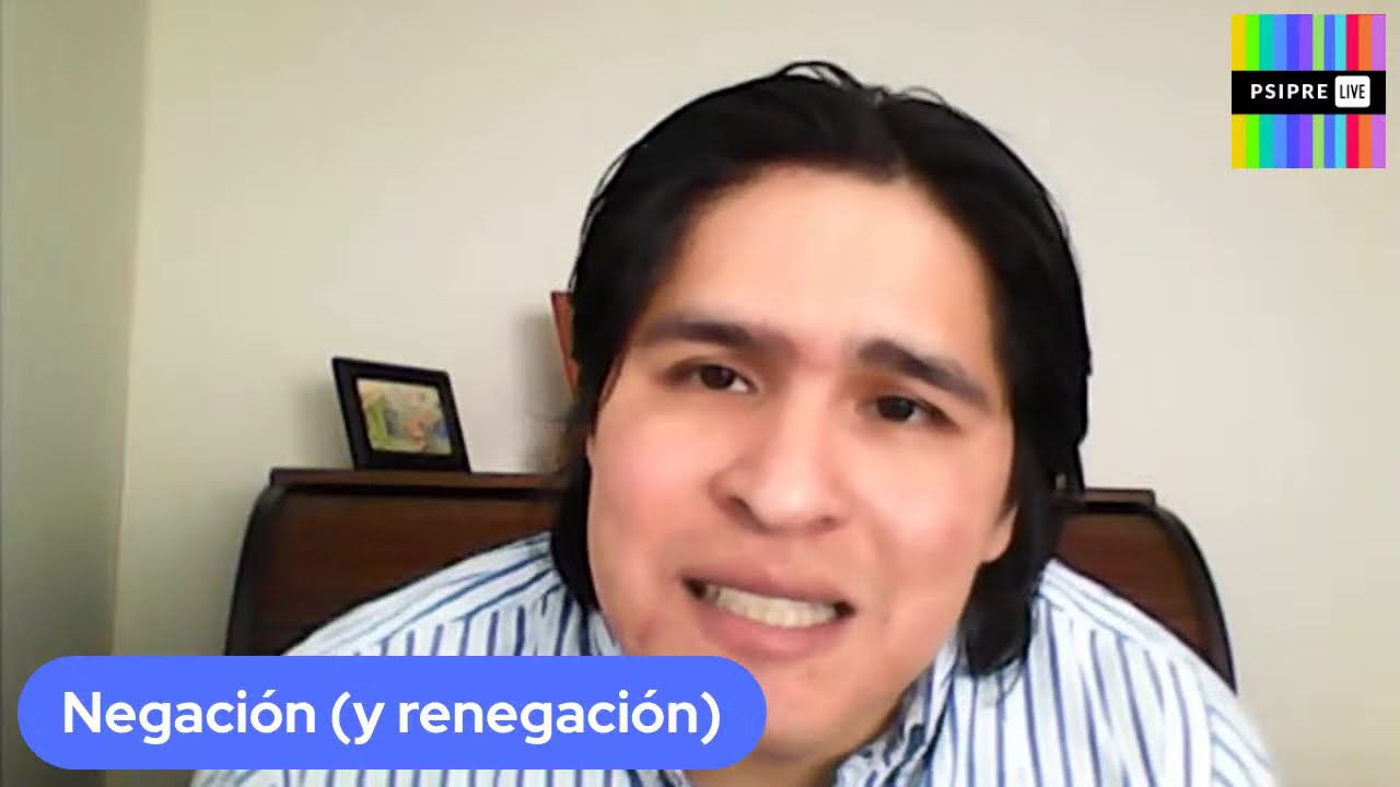 El concepto de Negaci&oacute;n en Freud