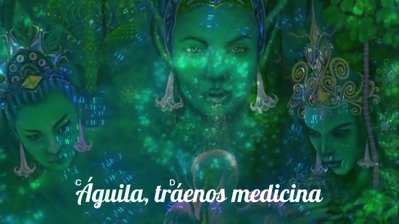 🎼 Vuela Com El Viento  ⭐ Ayla Schafer ✨ Pachamama Songs