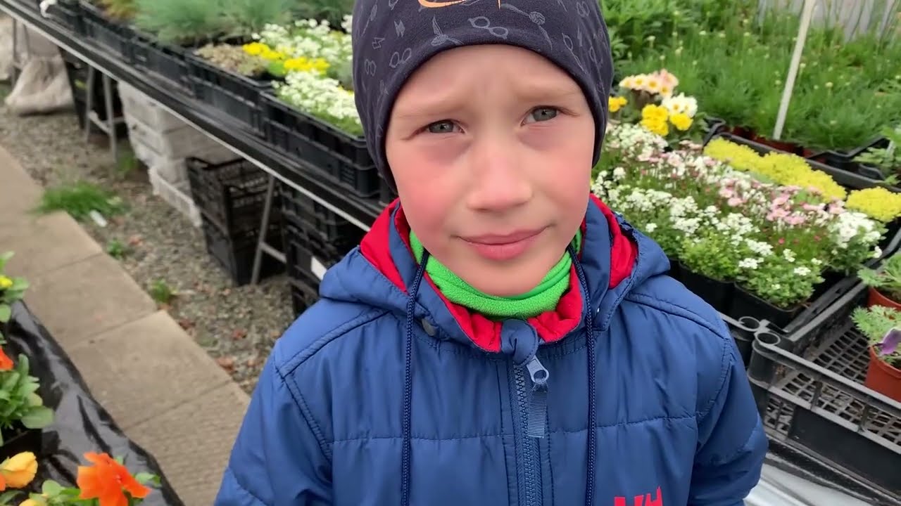Wiosenne nasadzenia w ogrodzie kwiatów bylinowych: sasanki, pierwiosnki, żagwin