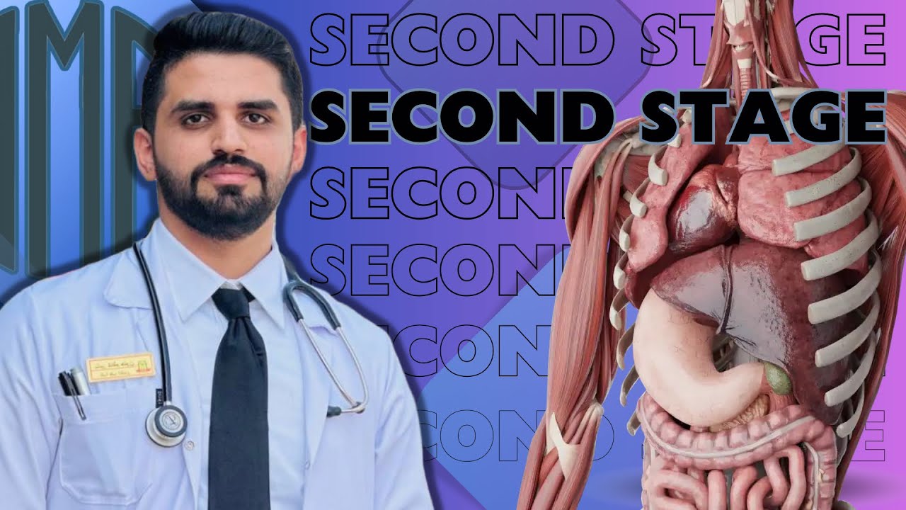 الطب الباطني المرحلة الثانية المحاضرة الاولىLec1 introduction to hematology part1