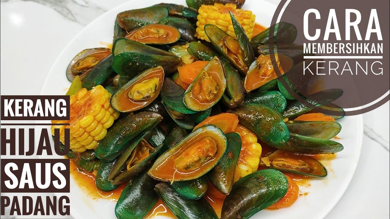 RESEP KERANG HIJAU SAUS PADANG dan cara membersihkan kerang