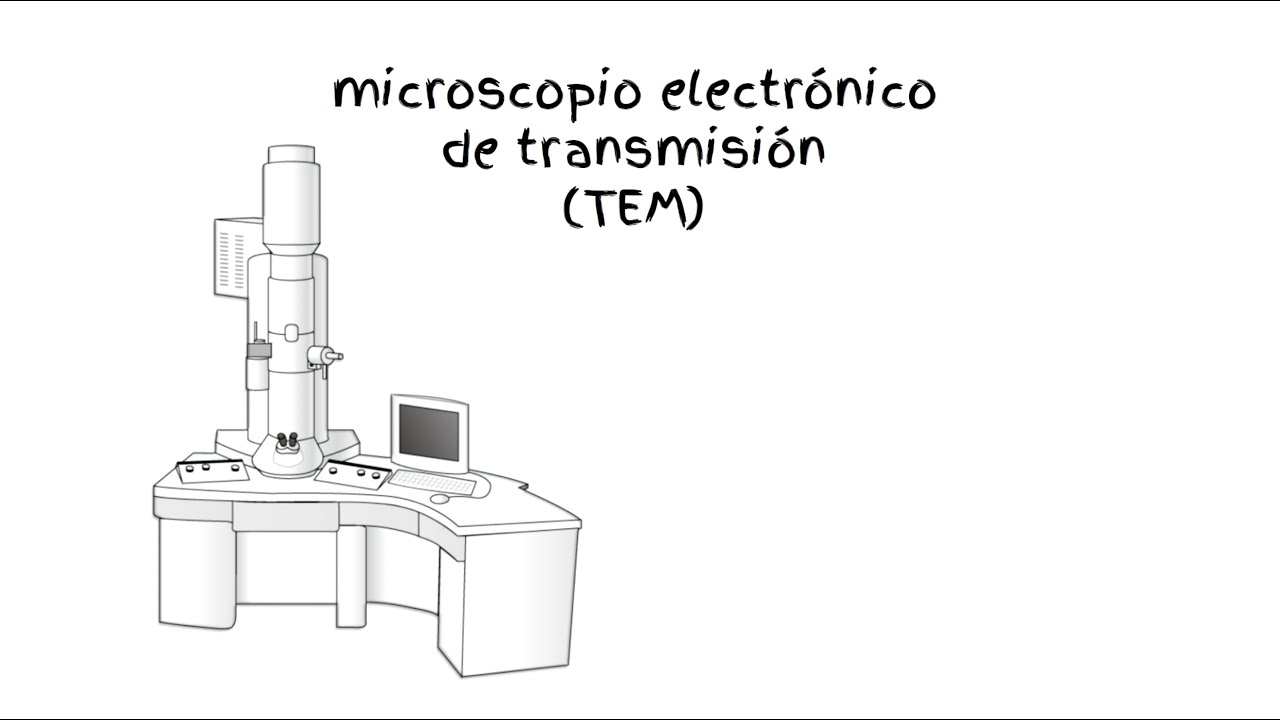 Microscopio electrónico de transmisión – TEM