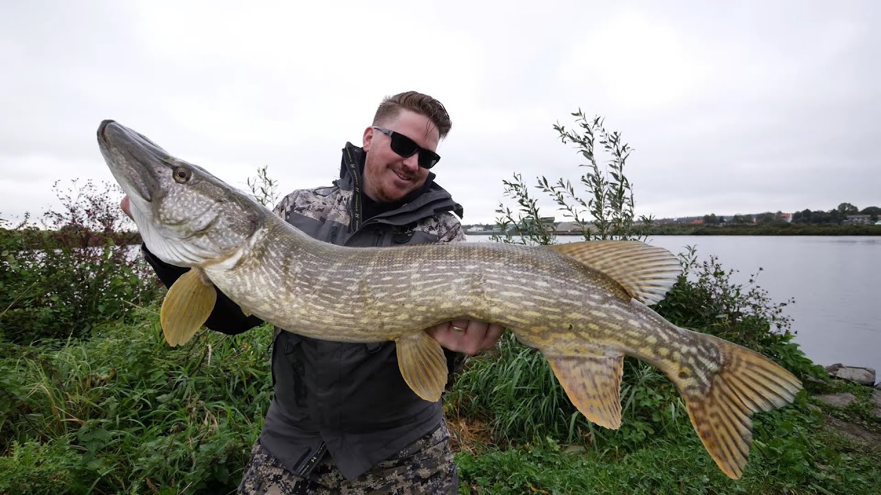 DE GROOTSTE SNOEK DIE IK OOIT GEFILMD HEB! - VLOG 50
