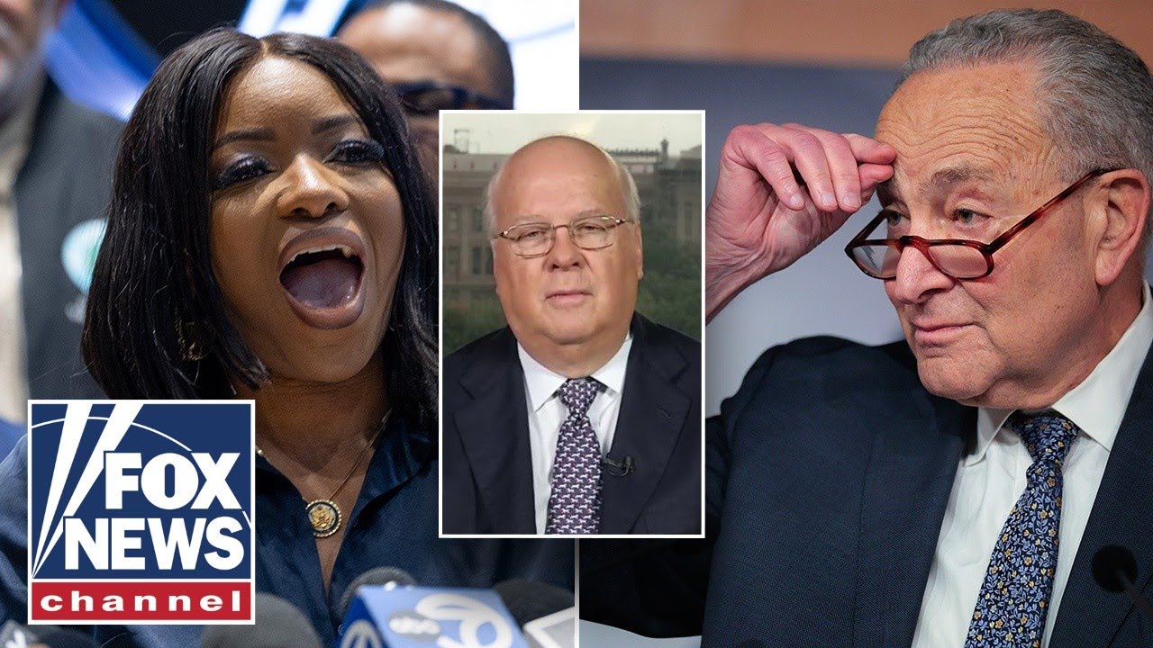 'DEEP DIVISIONS': Democrats revealed 'struggle' within party, Rove says