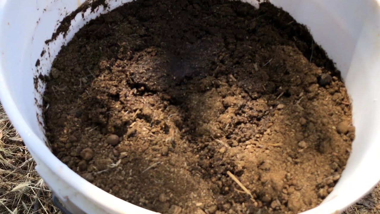 Abono de Estiercol de Borrego o Cordero @El Micro Rancho #compost