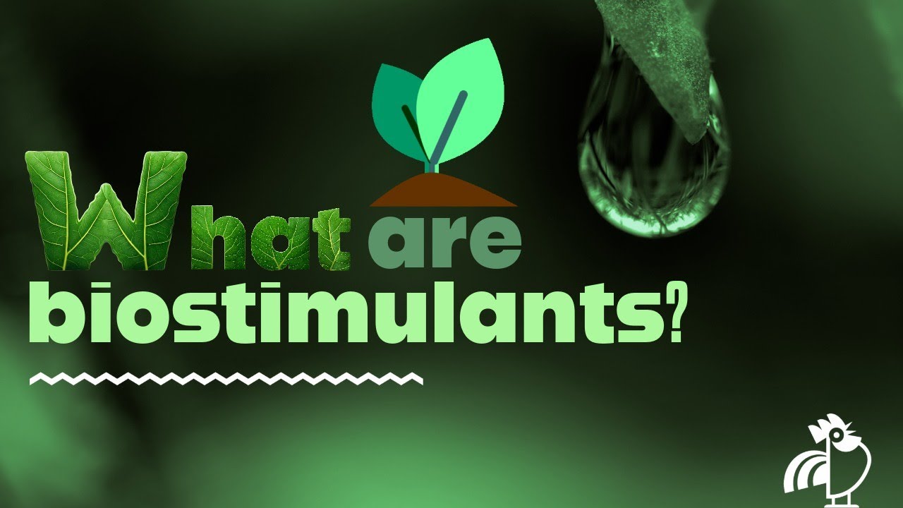 What Are Biostimulants? | Learn with Hello Nature