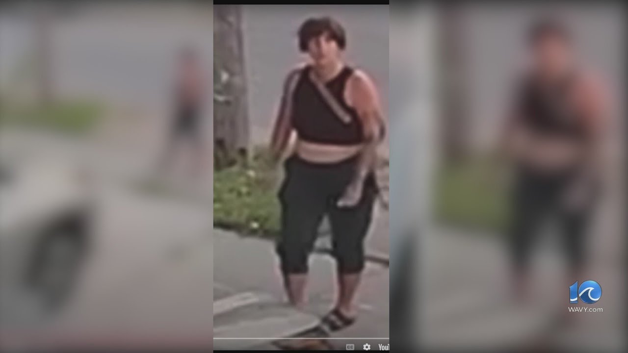 NPD seek person of interest in vandalism case