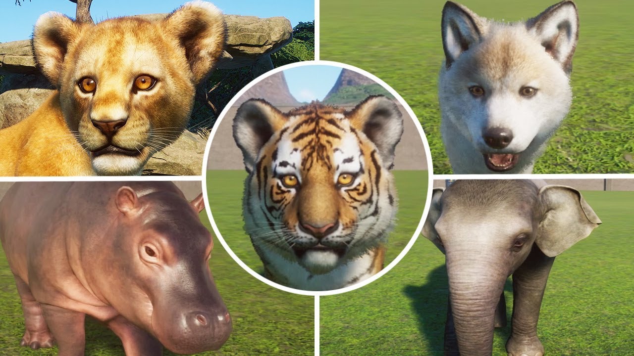 ALL 57 BABY ANIMALS - Planet Zoo