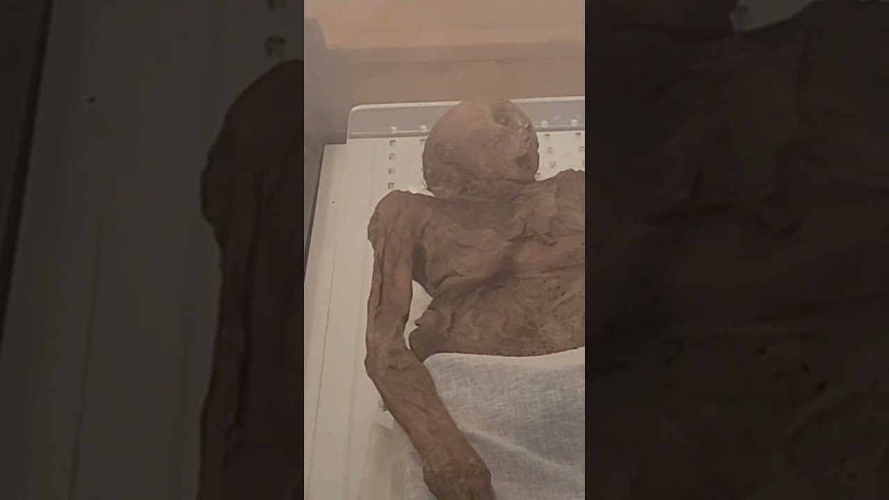 Mummified CorpsesLe Mummie di Venzone Italy