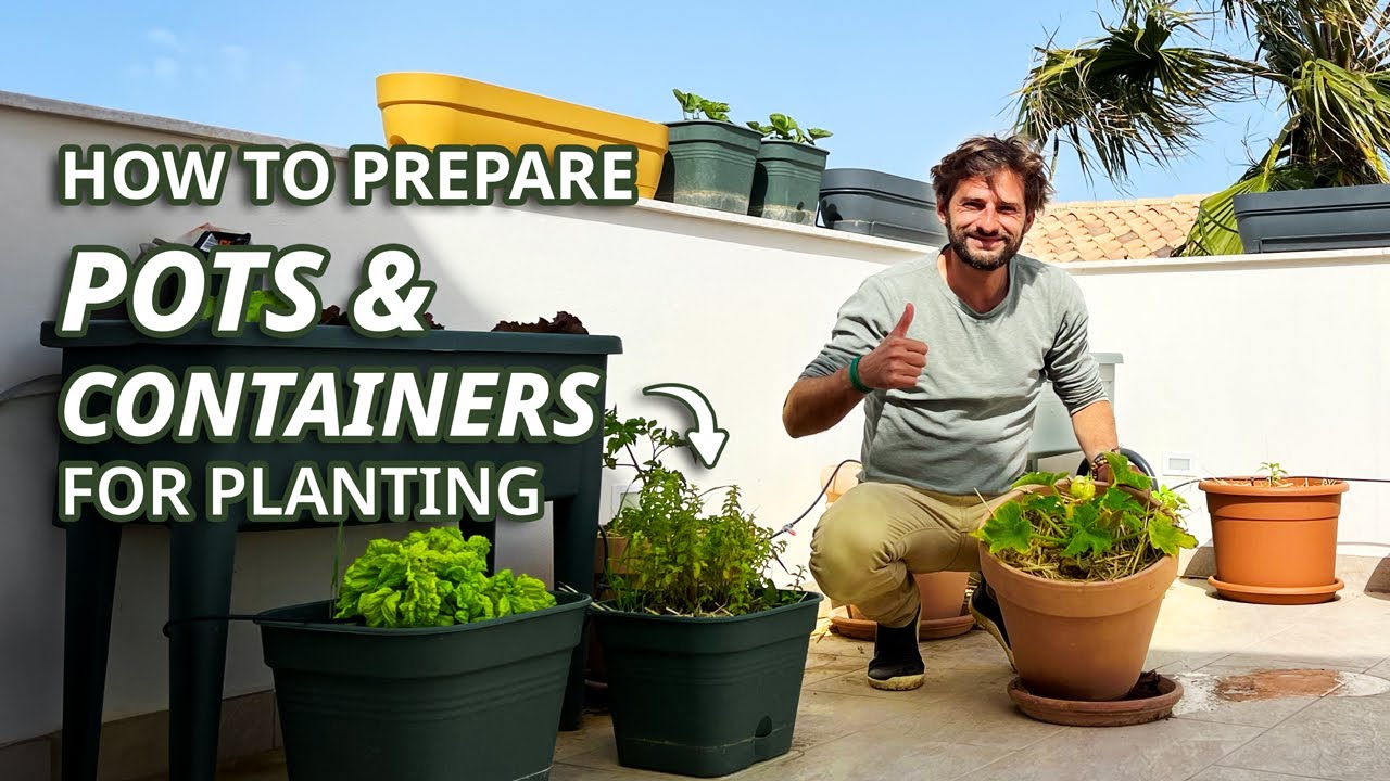 Balcony Vegetable Gardening :  How to prepare pots & containers to grow your organic Food 💚