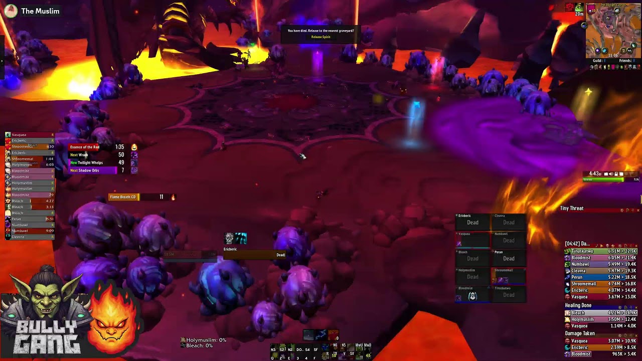 Proudmoore Cataclysm - 5th HC 10 Raids Day 2 - Feral OT PoV