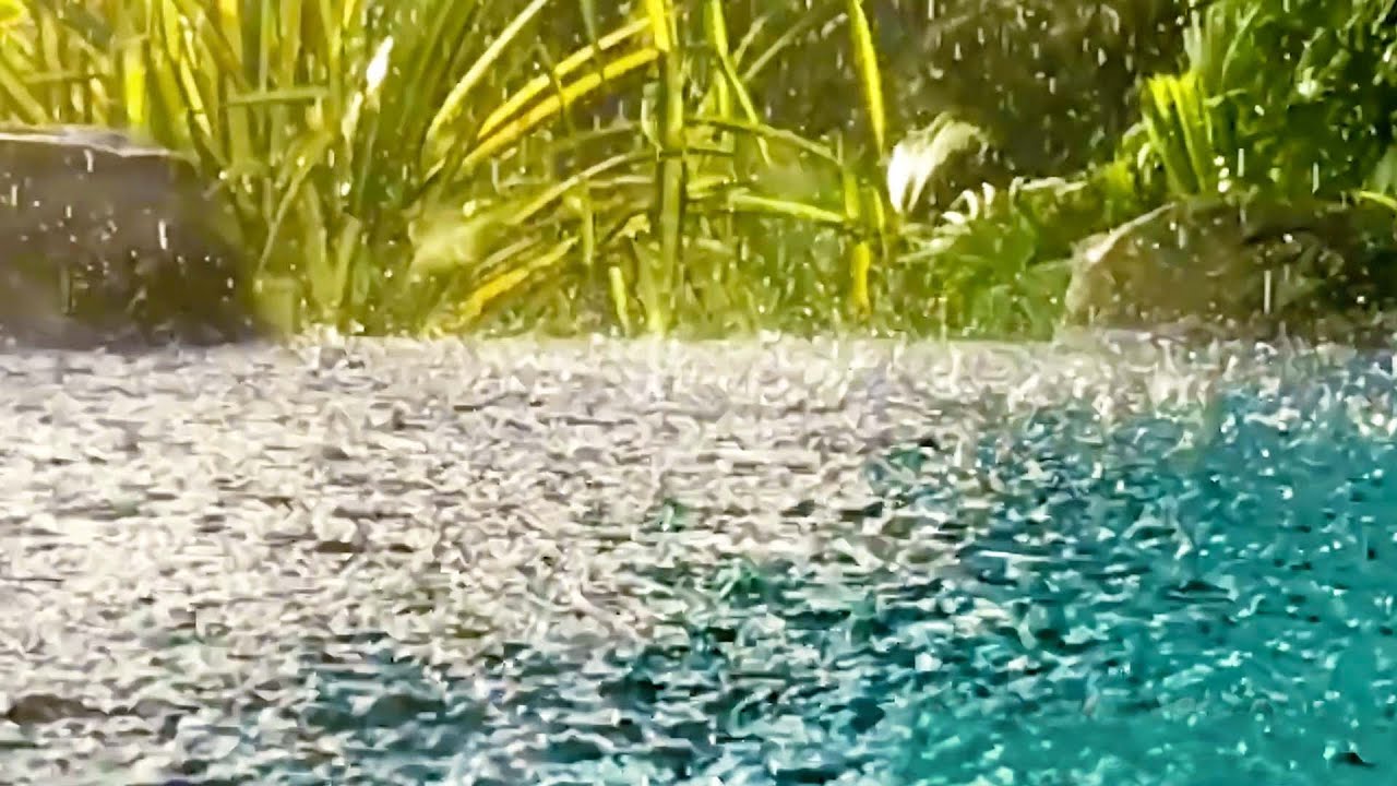 Thunder Sounds with Rain on Pond | Sleep, Study, Focus with Rainstorm White Noise