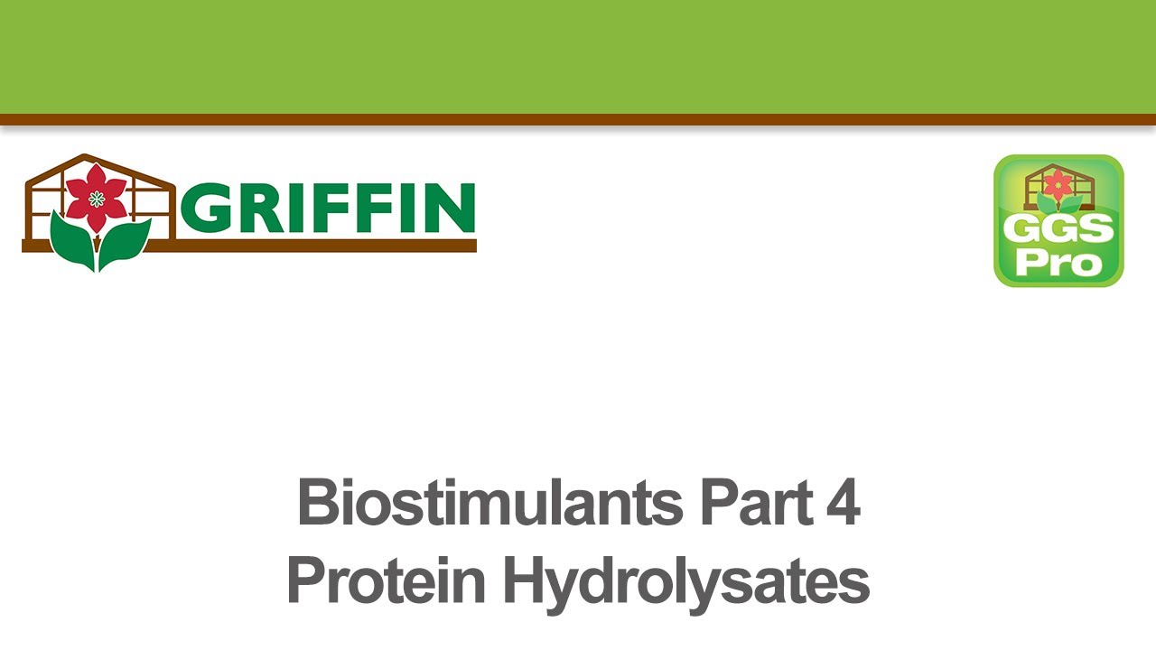 Biostimulants Part 4 - Protein Hydrolysates