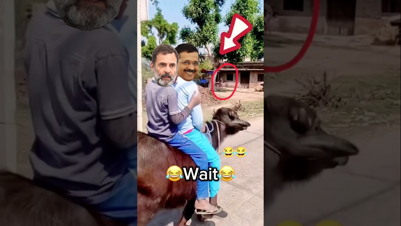 😛😁🤣Modi Rahul OR kejriwal funny video#funny #comedy#viral#modi#funnymemes#song#shortsfeed#shorts#fun