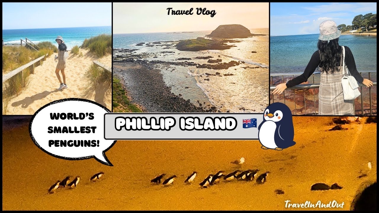 Phillip Island Vlog 🐧 | World’s Smallest Penguins & Stunning Beaches | TravelInAndOut