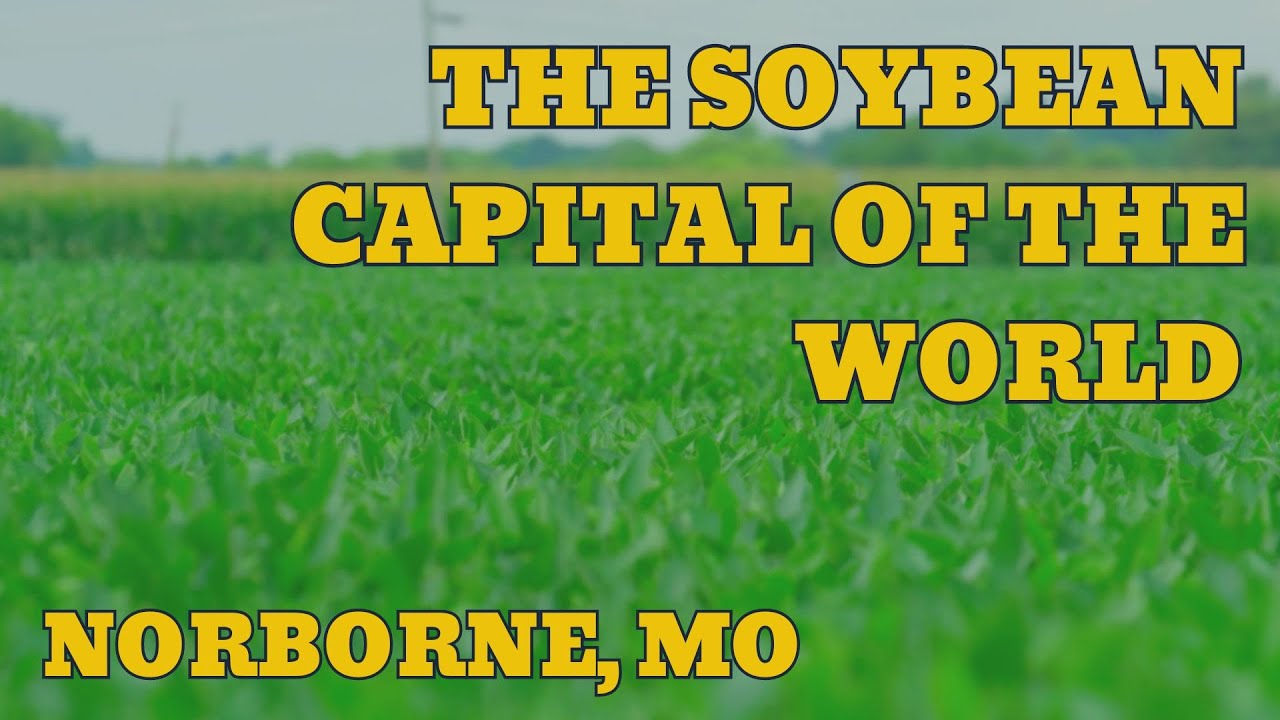 Small Town Showcase: Norborne, MO