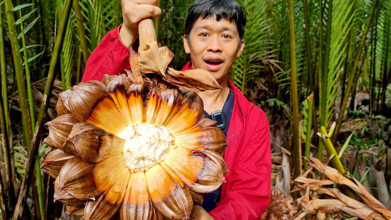 สุดยอด เพิ่งรู้ว่าผ่ามาแล้วมี 2 แบบ | เอิร์ธสดชื่น