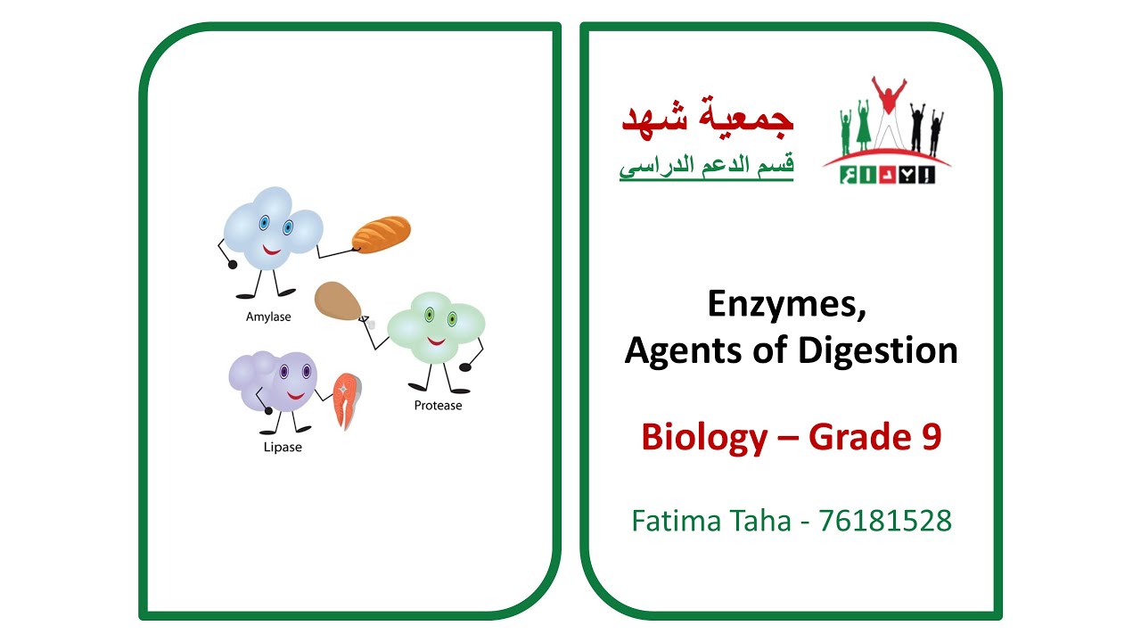 Ibda3 - GR9 - Biology - Enzymes, Agents of Digestion