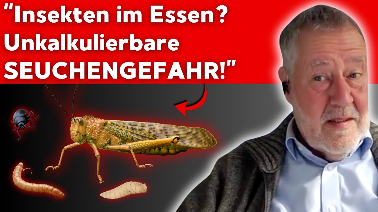 Insekten im Essen? Professor warnt: Wenig Eiweiß, hohes Risiko!