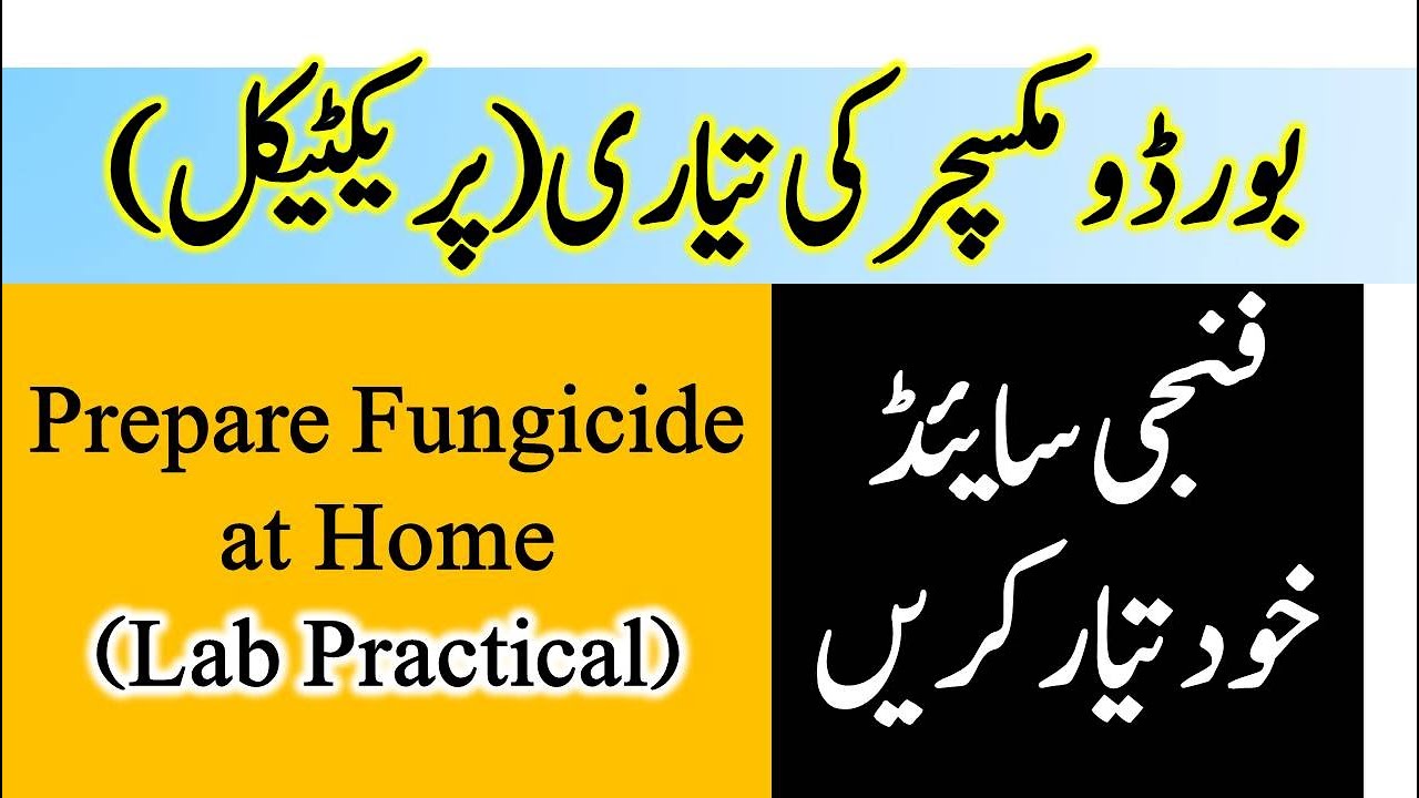 Bordo mixture preparation (Practical)|  Bordeaux mixture preparation | Plant Clinics | Dr. Jamil