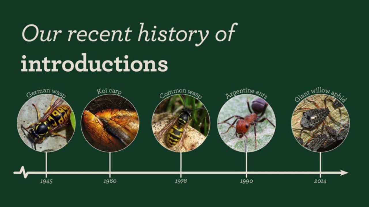 Session 2 - Biosecurity Matters: Lou Sanson, Biosecurity for biodiversity