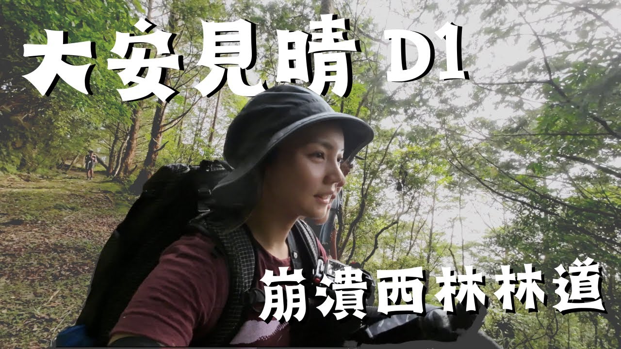 大安見晴安東軍橫斷D1、花蓮西林林道出發！茂密割人的芒草、刺藤相伴🤯