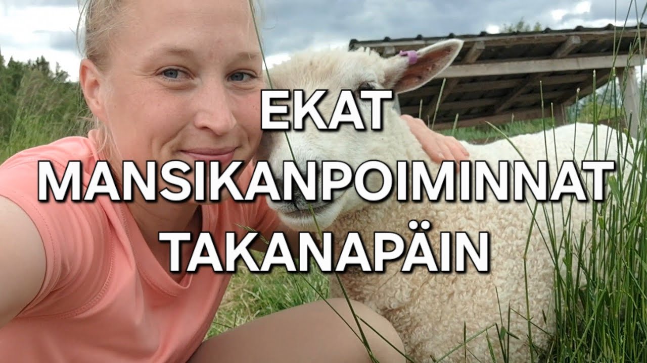 Tunnelmia ekoista poiminnoista
