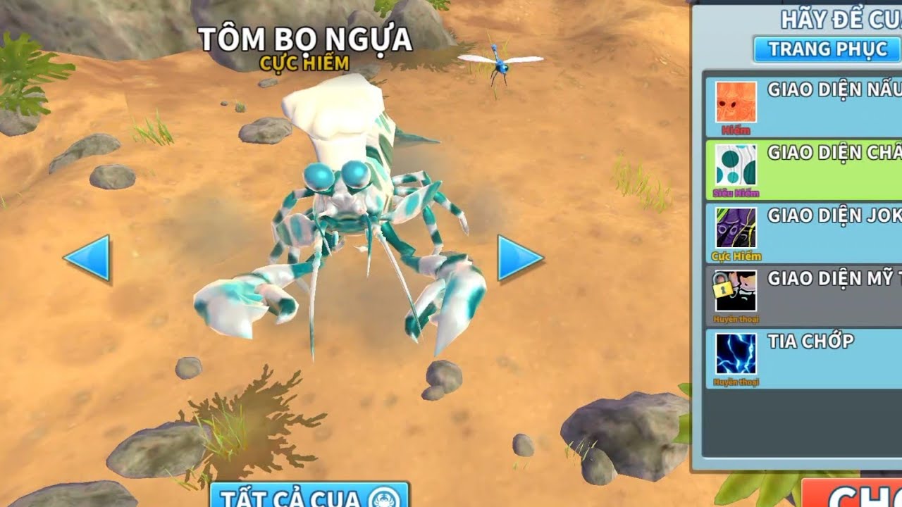 Tôm tít mũ dao đầu bếp | King of crabs 