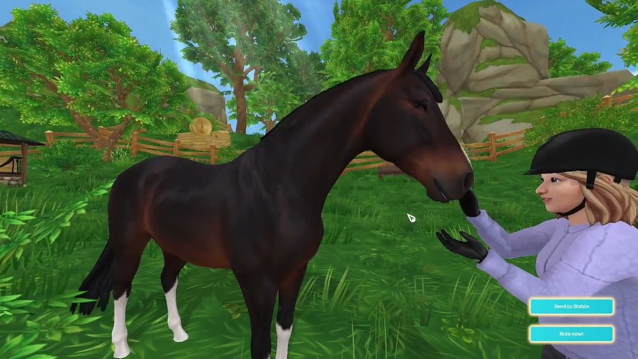 Meet Madday | Hanoverian | SSO Horses