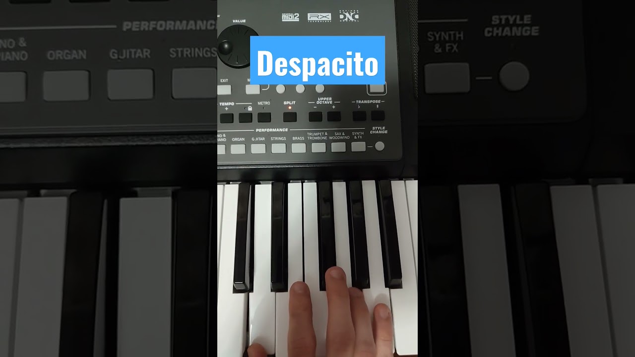 Despacito #korg #pa600 #dance #music