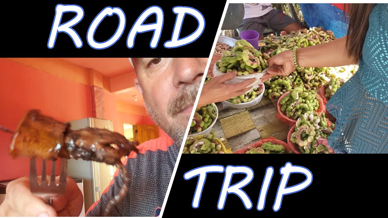 Road Trip along  Panay Island Highway Iloilo Province
