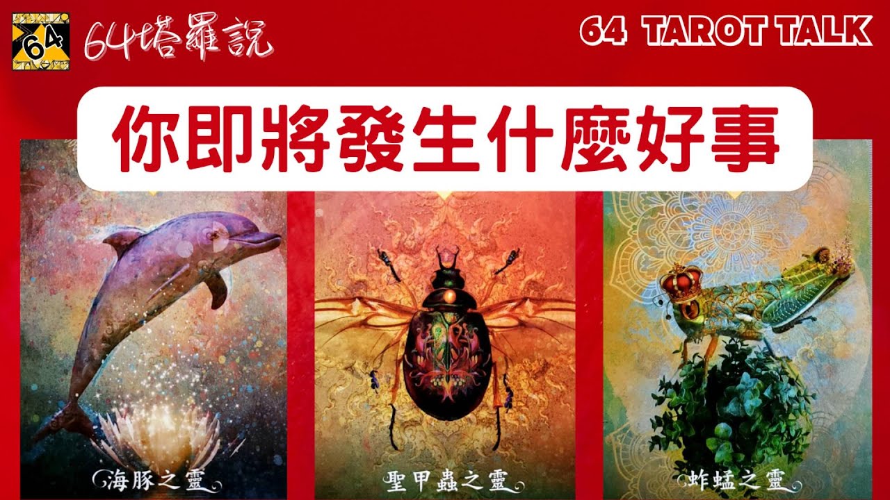 🌈你即將發生什麼好事🔮塔羅占卜🎁64塔羅說💕64 TAROT TALK⌛TIMELESS🌈PICK A CARD✨