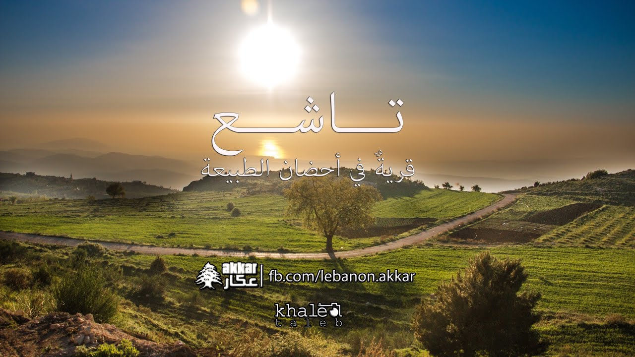 تاشع - قريةٌ في أحضان الطبيعة