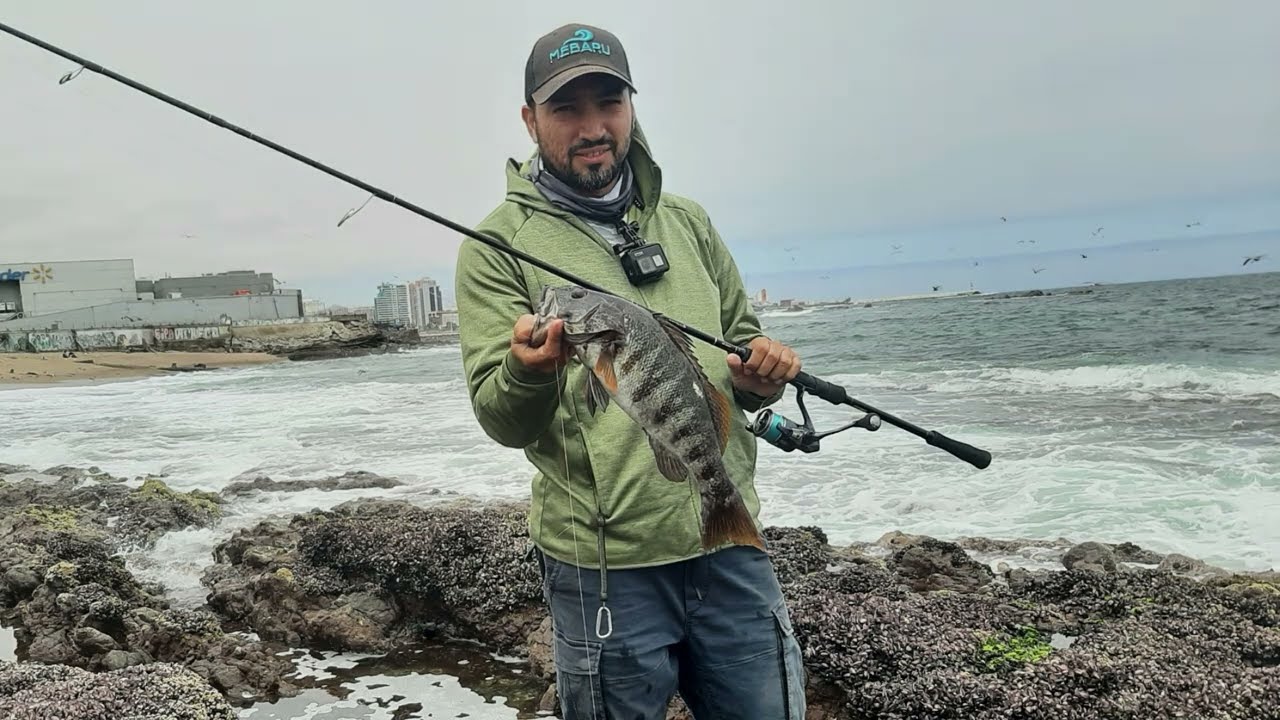 Hard Rock fishing, se activo la pesca en Antofagasta