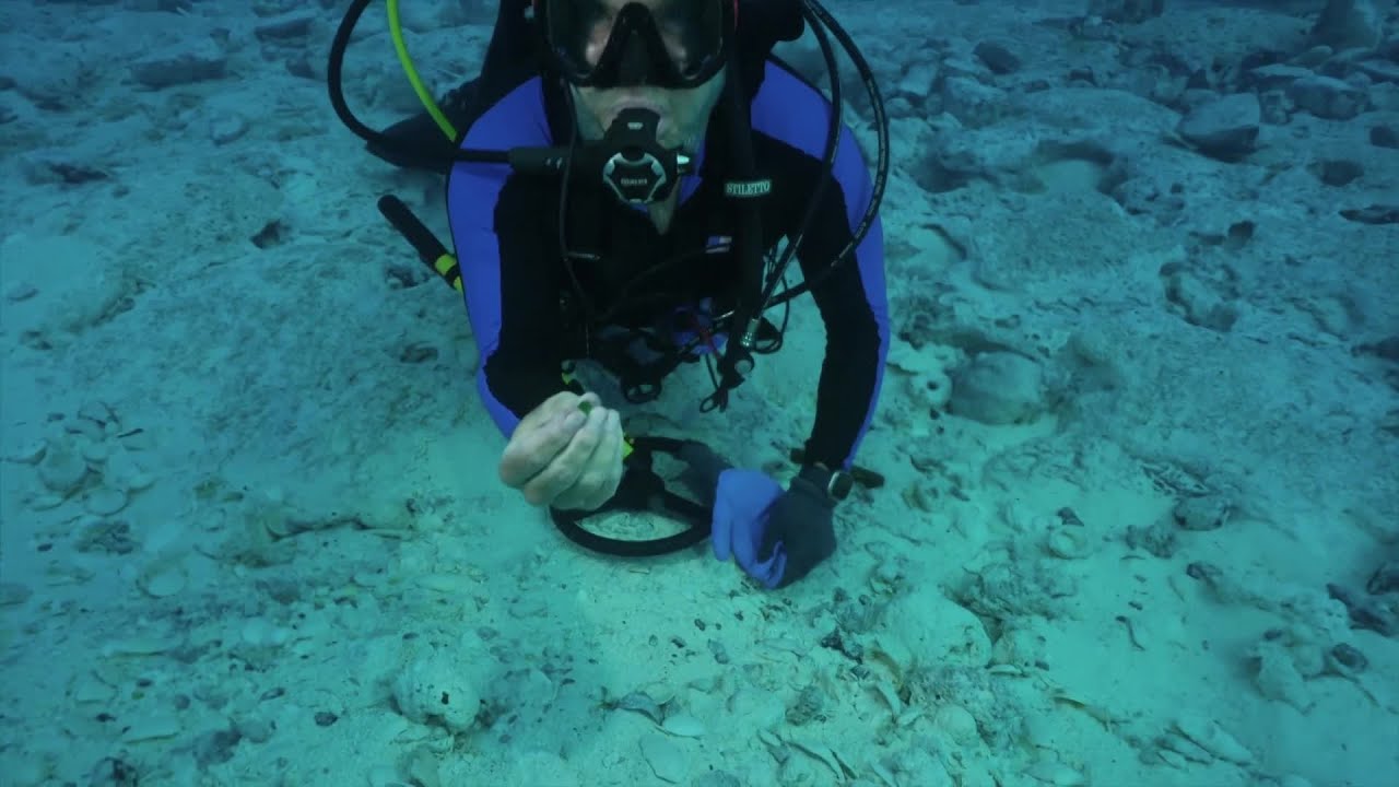 Archaeologist shares Titanic experience and $500M sunken treasure discovery