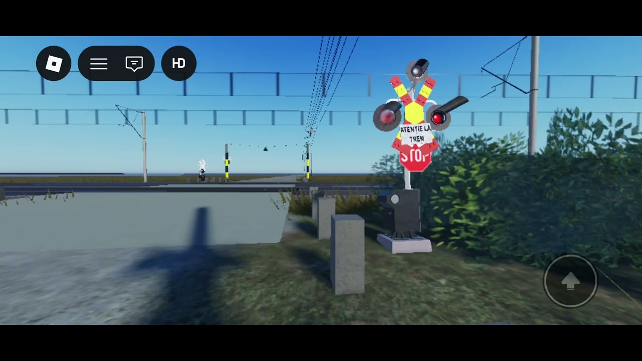 Romanian railroad crossing [Oradea]   25.2.2011 time 12:57