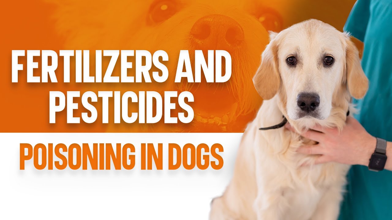 Fertilizers and Pesticides Poisoning in Dogs – Symptoms & Causes