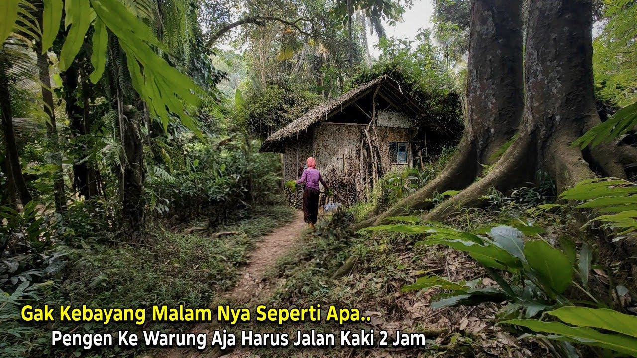 Disini Mereka Tinggal.. Di Kampung Terisolasi Terpencil Pinggir Hutan Jauh Kemana-mana