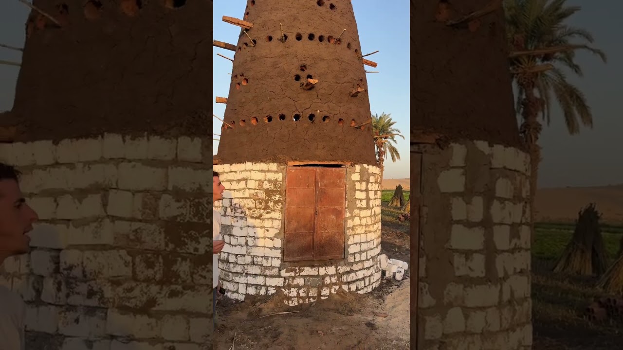 👈مشروع مربح مشروع ابراج الحمام 🕊️مشروع غير مكلف حسام الفخراني ☎️01010408291.