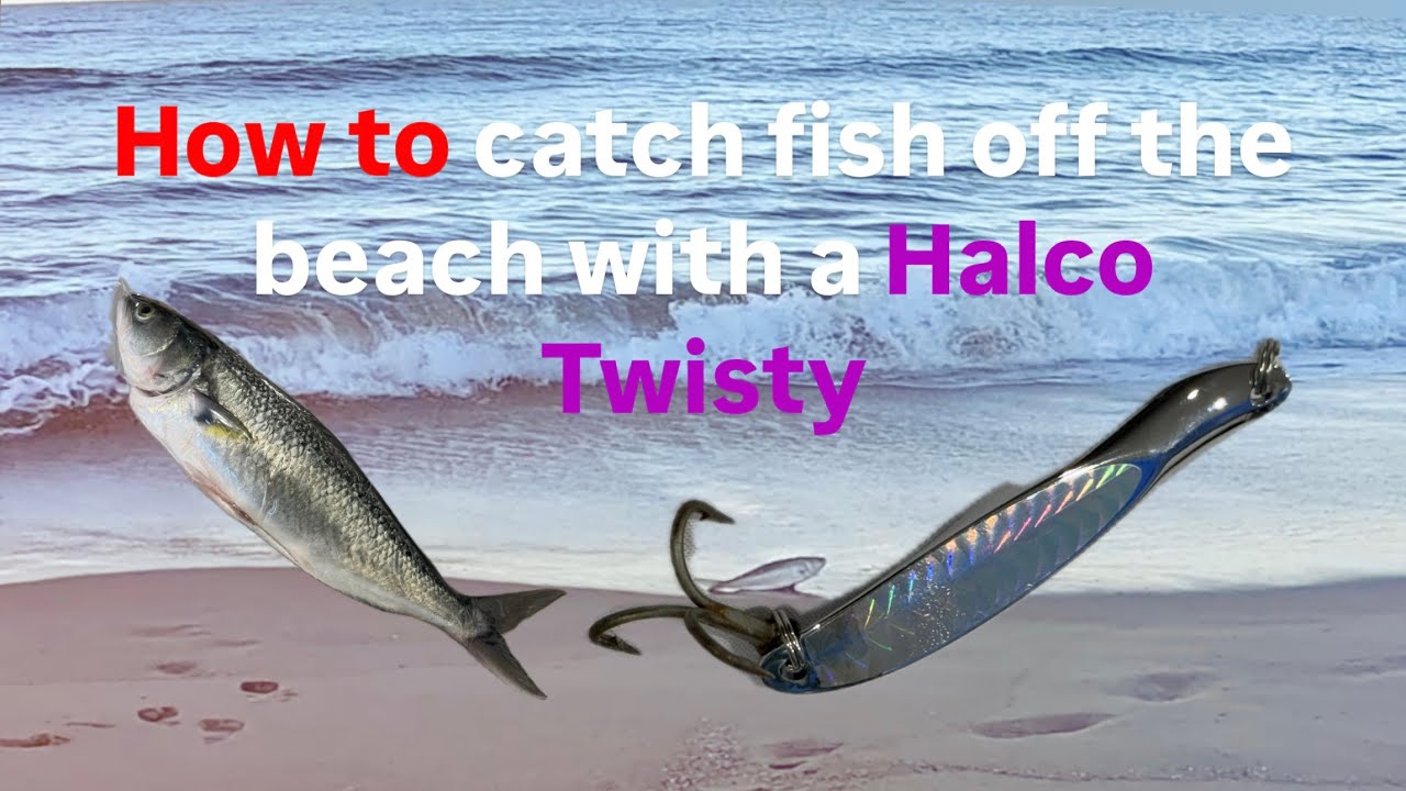 How to catch a fish off the beach with a Halco Twisty Lure