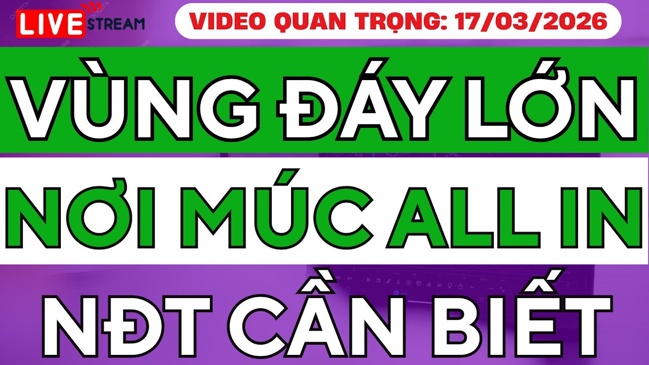Bí Mật Vùng Đáy Thị Trường: Cơ Hội All In Lớn Nhất Cho Nhà Đầu Tư