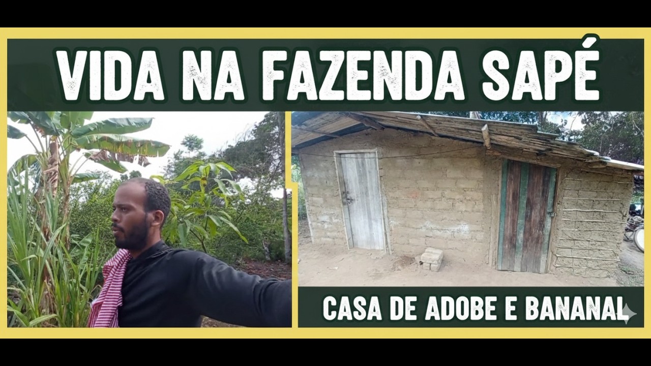 Manejo de Bananal, Roça de Mandioca e nossa Casa de Adobe | Fazenda Sapé