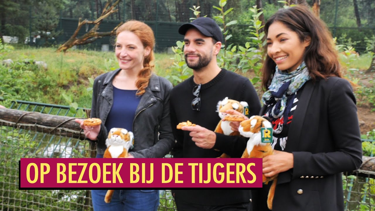 Op kraamvisite in Beekse Bergen | Aida in Concert