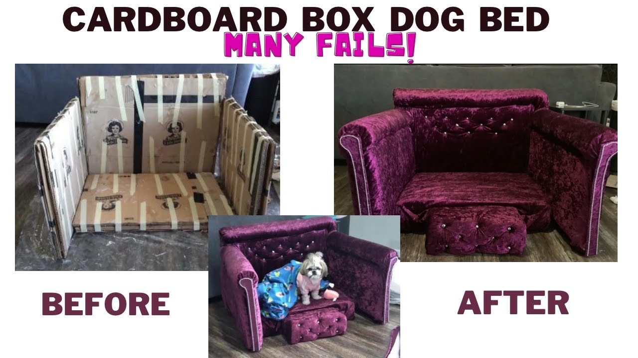 I created a luxury dog bed out of cardboard boxes based on Yoduvh Essentials' video