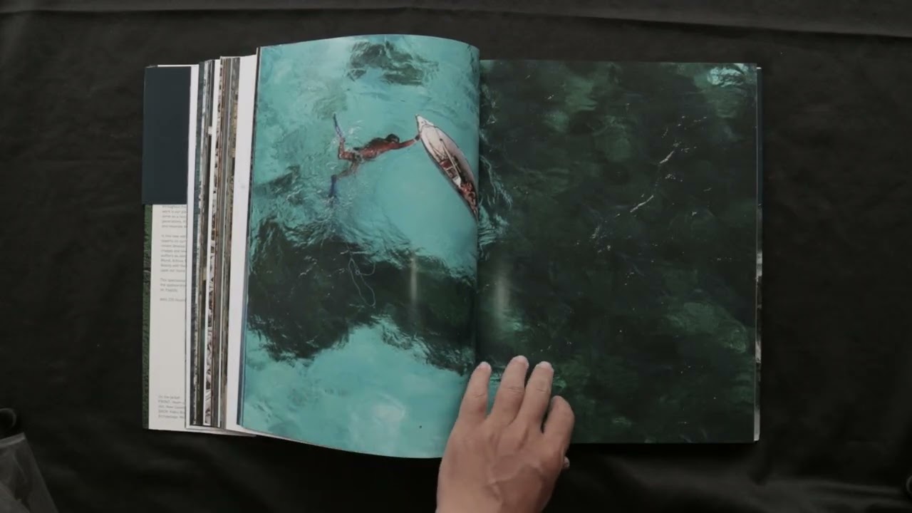 The Earth From The Air by Yann-Arthus Bertrand